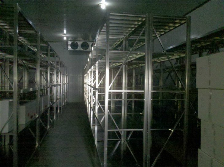 ���P�؛��